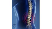 Chiropractor in Southampton, Hampshire