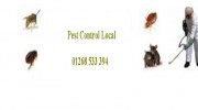 Pest Control Services in Basildon, Essex