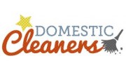 Launched this year - Star Domestic Cleaners website proves a success