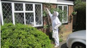 Pest Control Services in Hook, Hampshire