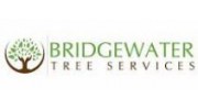 Bridgewater Tree Services