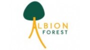 Albion Forest