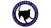 Adolescent Dogs