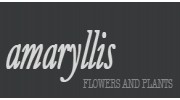 Amaryllis Flowers And Plants