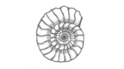 Ammonite Lodge