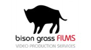 Bison Grass Films