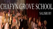 Chafyn Grove School