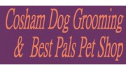 Pet Services & Supplies in Portsmouth, Hampshire