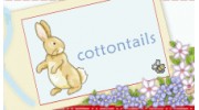 Cottontails