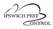 Pest Control Services in Ipswich, Suffolk