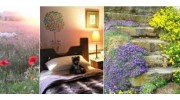 Accommodation & Lodging in Chesterfield, Derbyshire