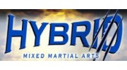 Hybrid Mixed Martial Arts