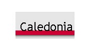 Caledonia Environmental