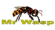 Mr Wasp