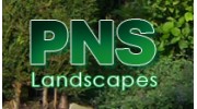 PNS Landscapes