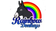 Rainbow Donkeys