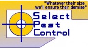 Pest Control Services in Belfast, County Antrim