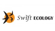 Swift Ecology