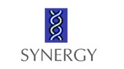 Synergy Financial Systems