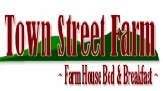 Town Street Farm
