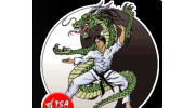 TSA Martial Arts