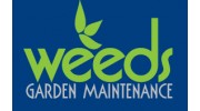 Weeds Garden Maintenance