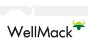 Wellmack Resources