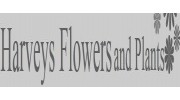 Harveys Flowers and Plants