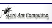 Black Ant Computing