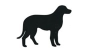 Black Dog Painting And Decorating