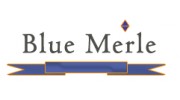 Blue Merle