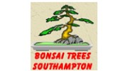 Bonsai Trees Southampton