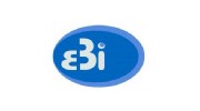 EBI Accounting Services