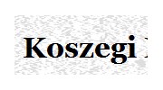Koszegi Mortgage Services