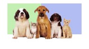 Pet Services & Supplies in Luton, Bedfordshire
