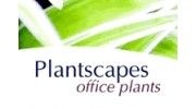 Plantscapes-Office Plants