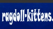 Ragdoll-Kittens.Org