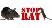 Pest Control Services in Worthing, West Sussex