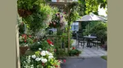 The Bolingbroke Hotel