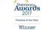 387 Vets