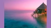 Millhouses Travel
