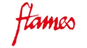 Flames Fireplaces