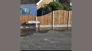 Beechdale Fencing