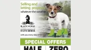 Black Horse Property