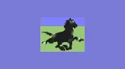 Smooth Hound Hotel Directory