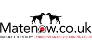 Canine Pregnancy Scanning