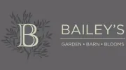 Ken Baileys