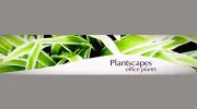 Plantscapes-Office Plants
