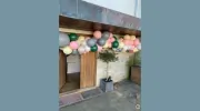 Balloon Wise