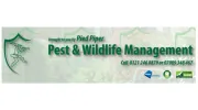 Pied Piper Pest & Wildlife Management